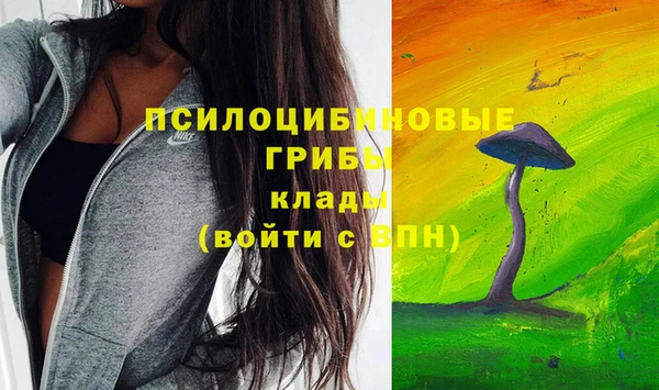 соль ск Гусиноозёрск