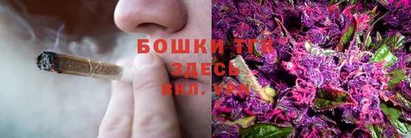 соль ск Гусиноозёрск
